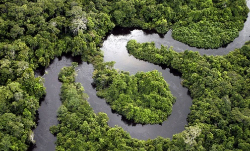 floresta amazonica