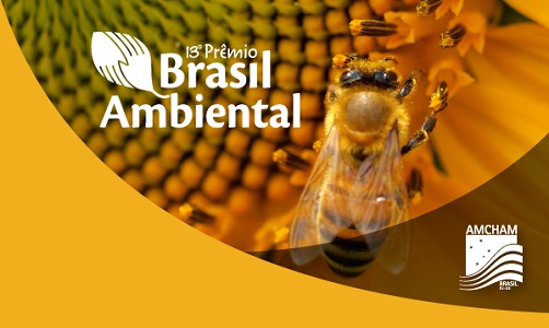 Prêmio Brasil Ambiental Externa
